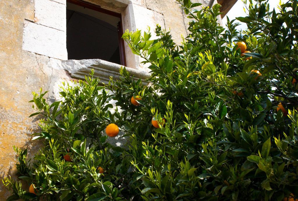 Apartamentos En La Rectoria De Regencós エクステリア 写真